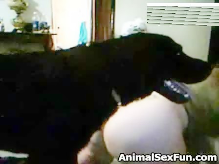 Largest Dog Cock